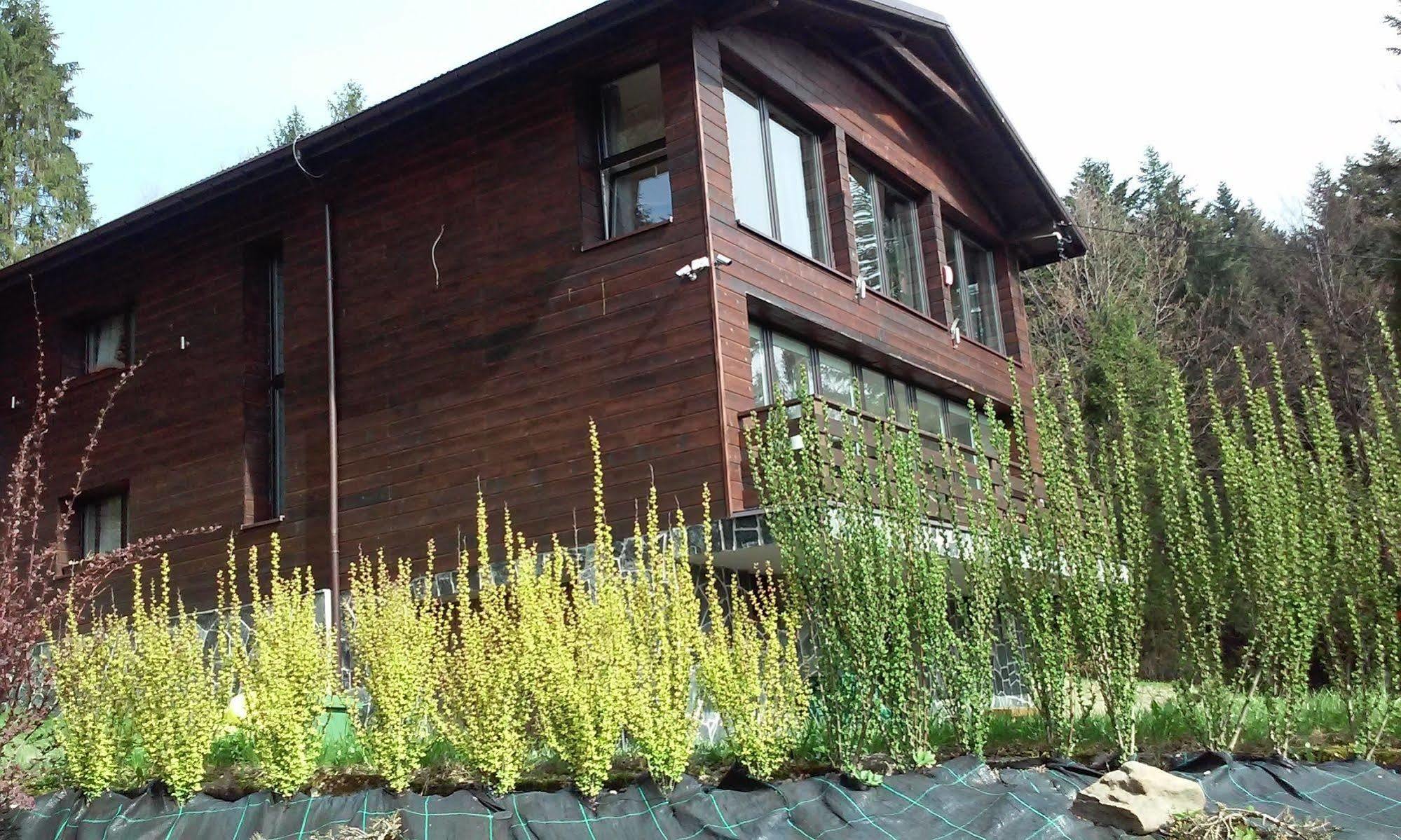 Karolinka Guest House Szczyrk Esterno foto